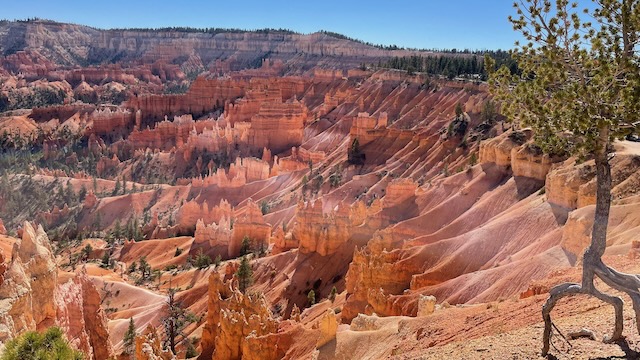 Bryce Canyon