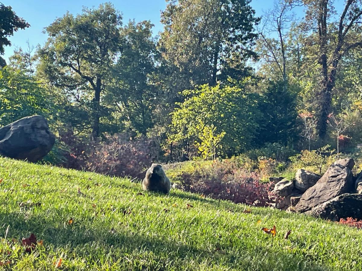 Top of the Rock in Branson, Missouri