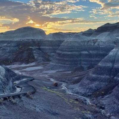 Petrified Forest and Painted Desert